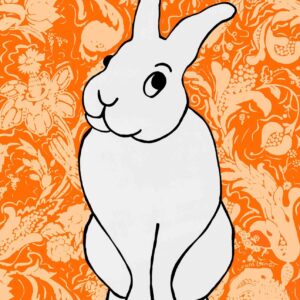 Hare Color (Tangerine) Print