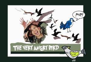 The Very Angry Bird